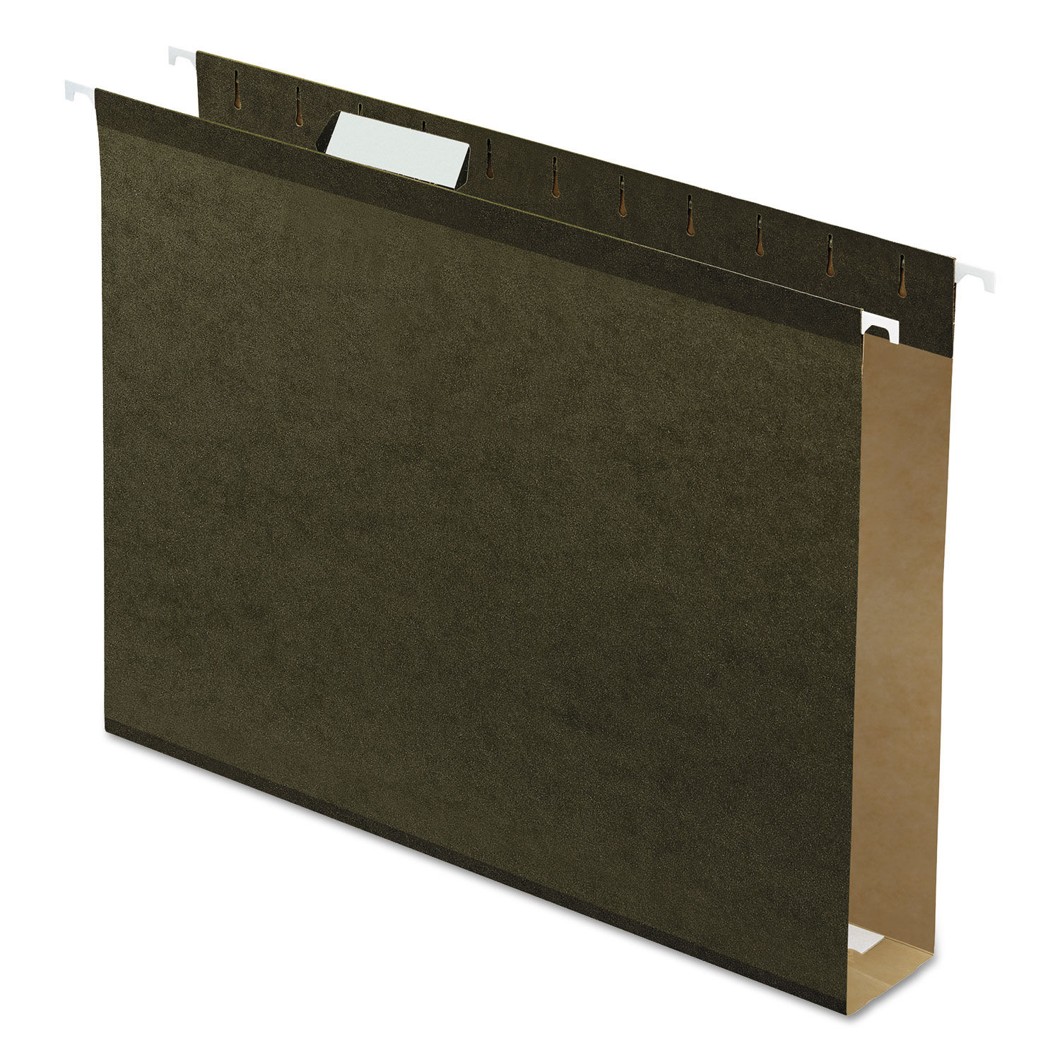 Extra Capacity Reinforced Hanging File Folders with Box Bottom by Pendaflexandreg; PFX5142X2