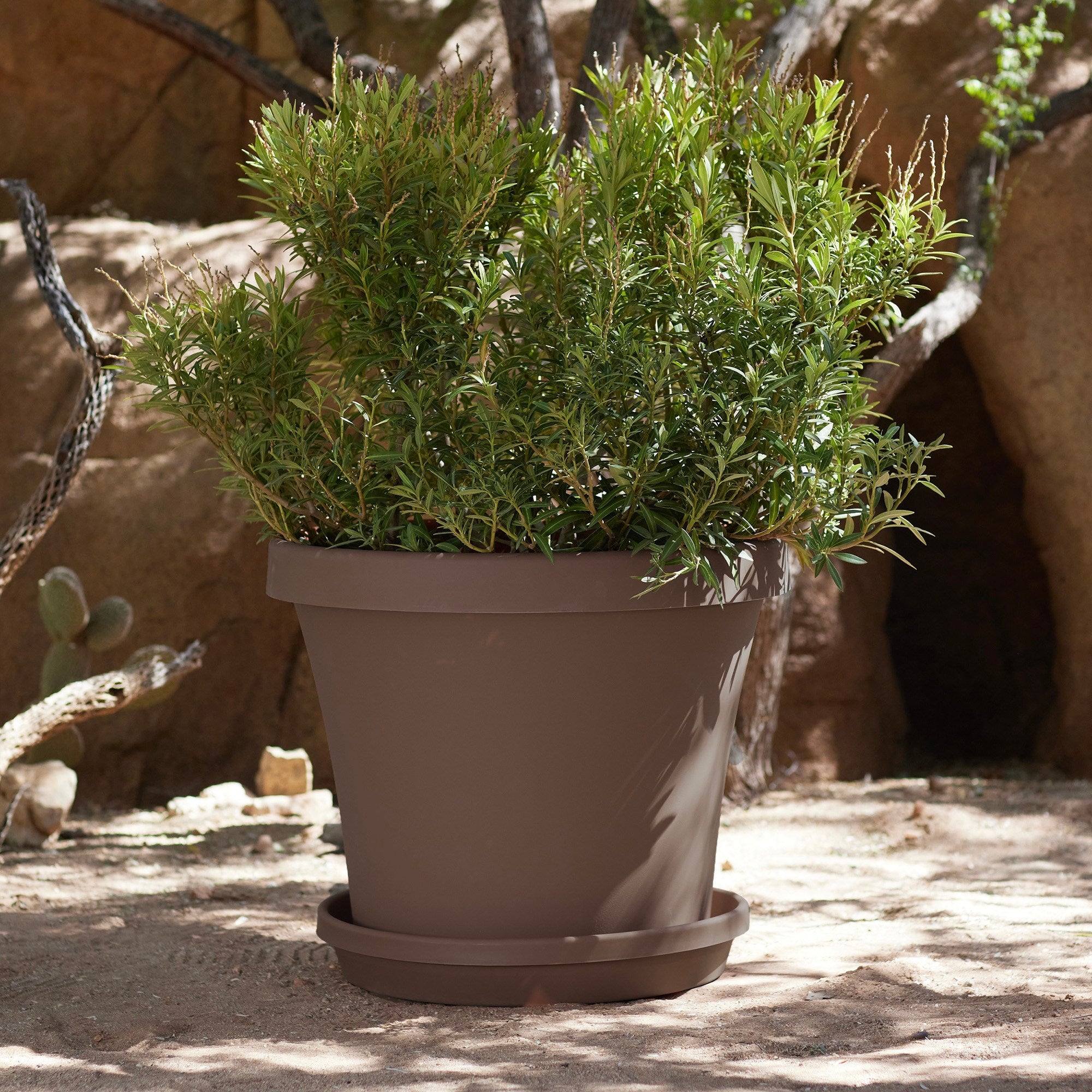 Bloem Terra Pot Round Planter: 24