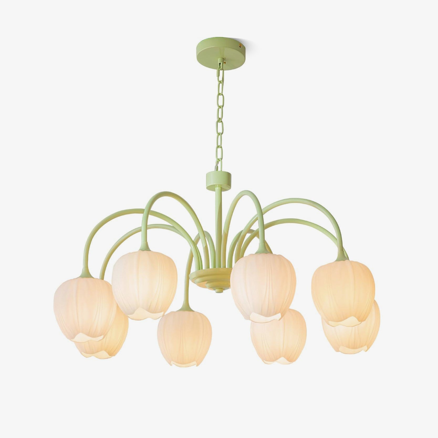 Tulip Matcha Chandelier