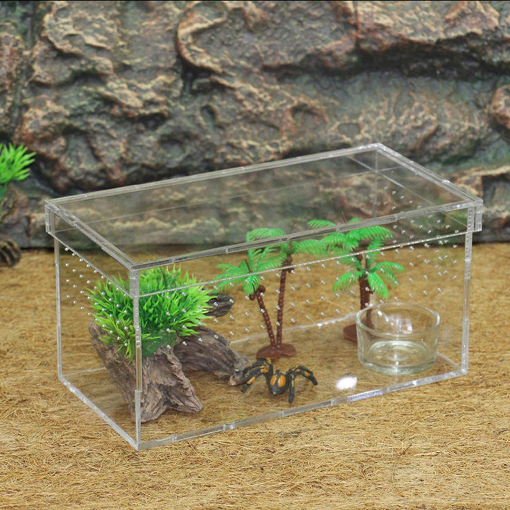 Acrylic Reptile Feeding Tank for Spiders Breeding Box