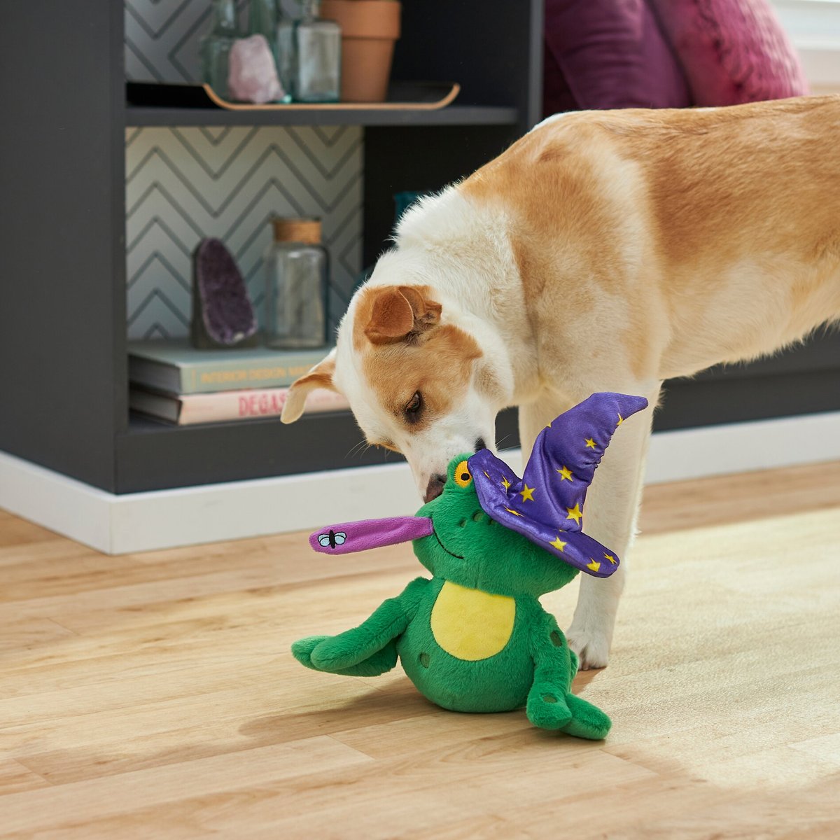 Frisco Magic Wizard Frog Plush Squeaky Dog Toy