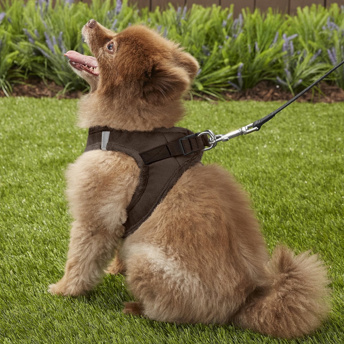 Best Pet Supplies Voyager Plush Suede Dog Harness