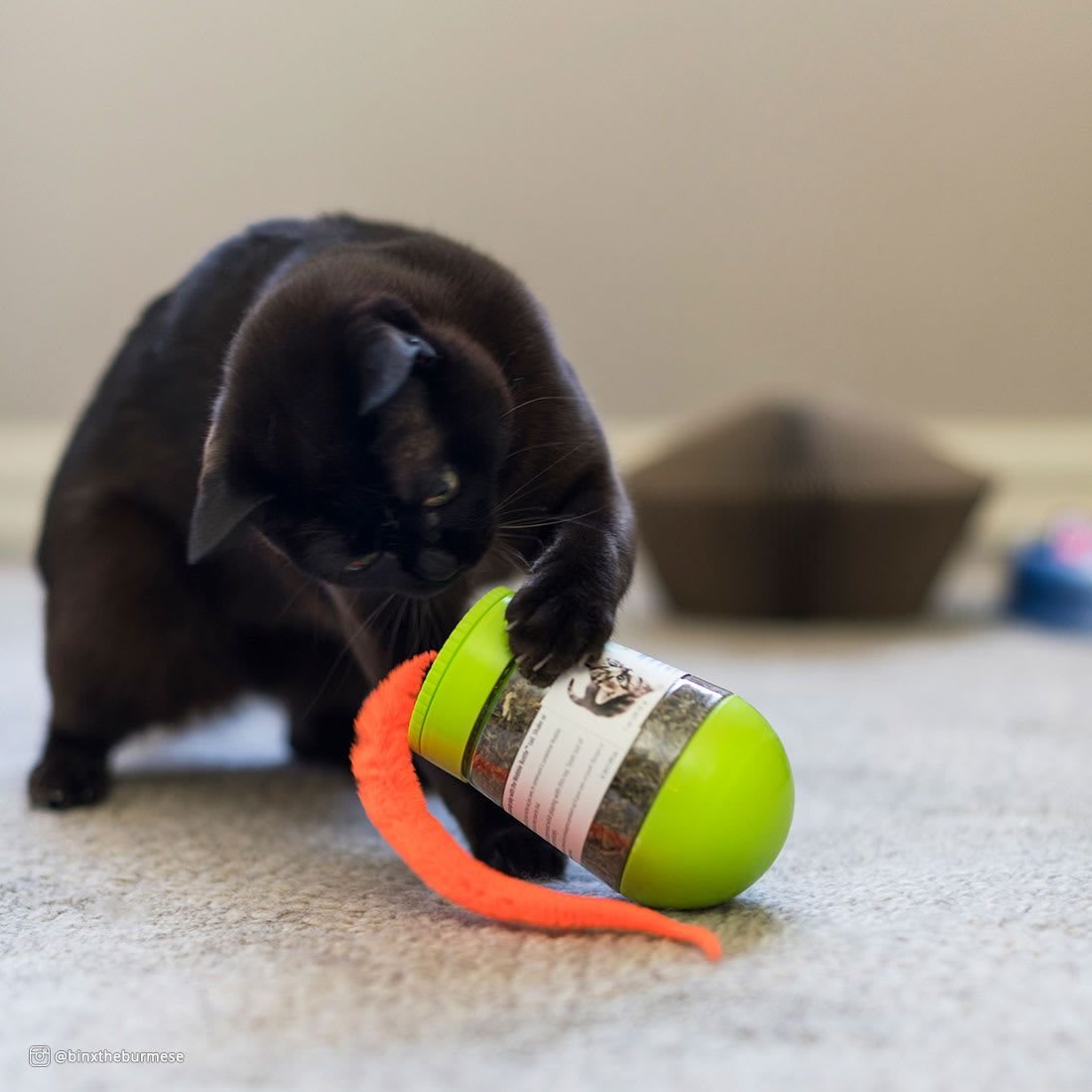 Turbo Wobble Bottle Cat Toy with Catnip