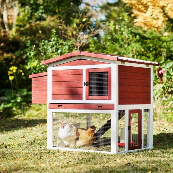 Frisco  Wooden Outdoor Chicken Coop