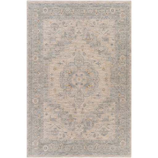 Avant Garde Traditional Light Gray Rug