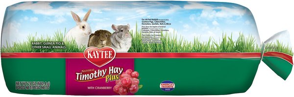 Kaytee Timothy Hay Plus Cranberries Small Animal Treat