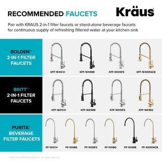 KRAUS Purita 2-Stage Carbon Block Under-Sink Water Filtration System with Digital Display Monitor FS-1000