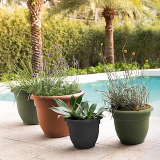 Bloem Ariana 21.5 in. Terra Cotta Plastic Self-Watering Planter 20-56120