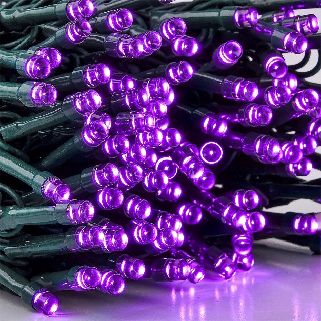 Joiedomi 300 Purple Led Green Wire String Lights 8 Modes