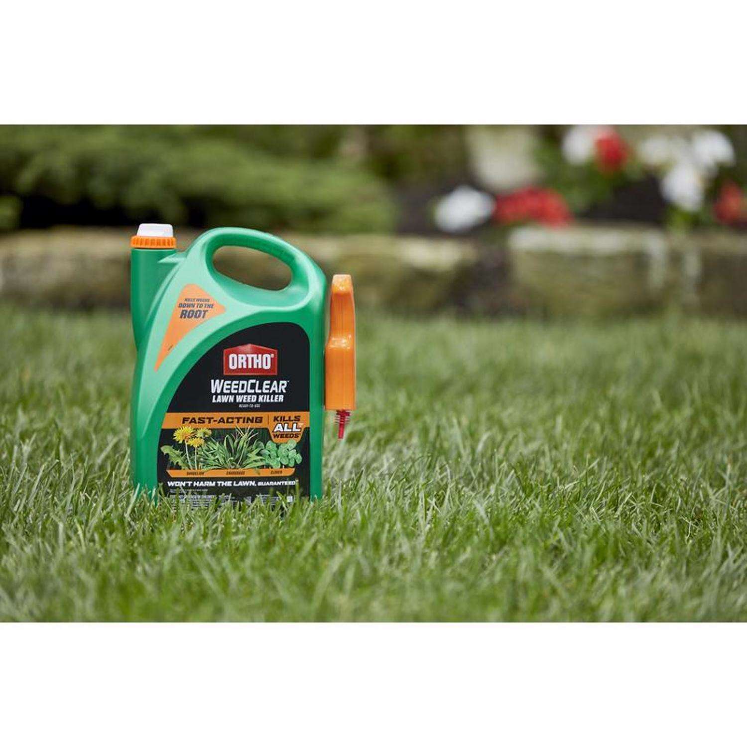 Ortho WeedClear Weed Killer RTU Liquid 1 gal