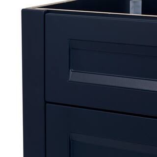 Home Decorators Collection Ridge 30 in. W x 21.6 in. D x 34 in. H Bath Vanity Cabinet without Top in Deep Blue RG30-DB