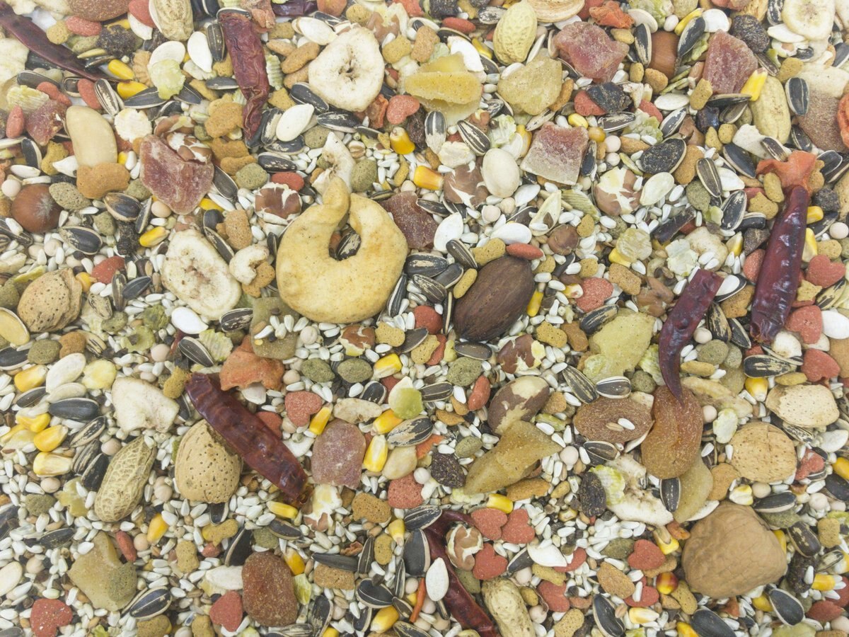 Higgins Sunburst Gourmet Blend Birdseed and Nuts Macaw Bird Food