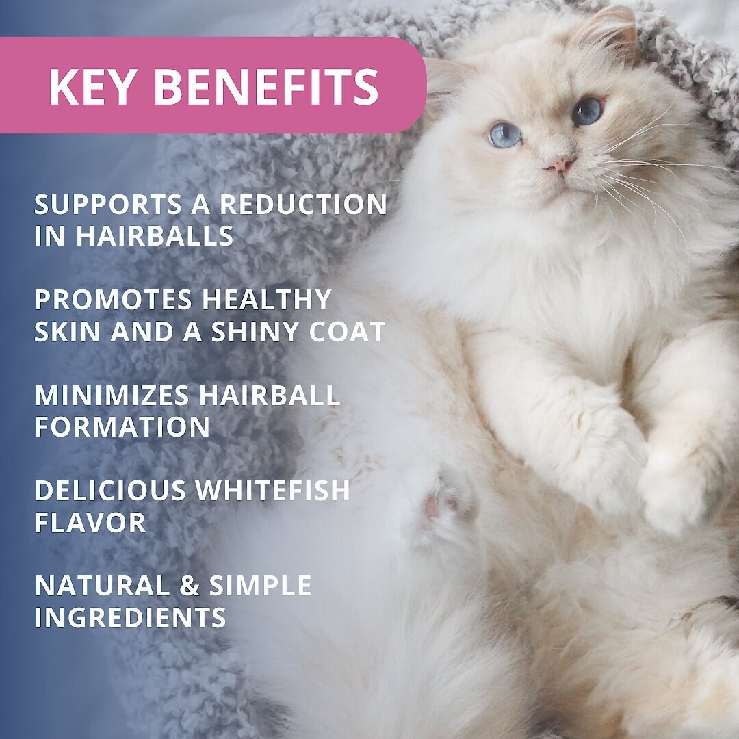 Under the Weather Hairball Support Soft Chews Cat Supplement