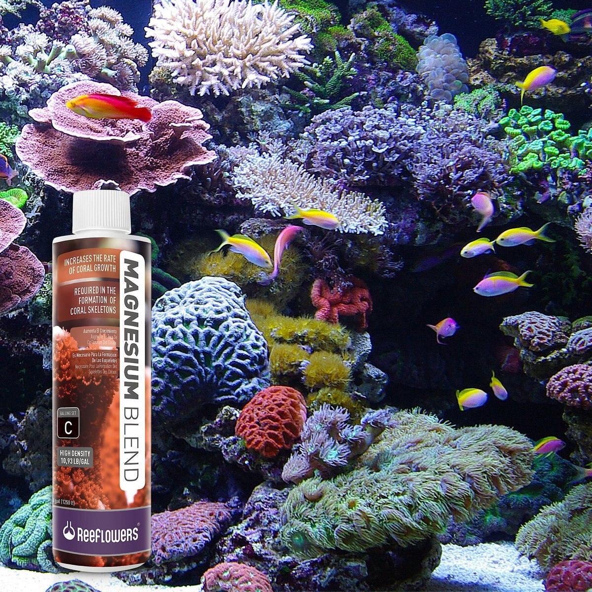 Reeflowers Magnesium Blend C Aquarium Water Treatment