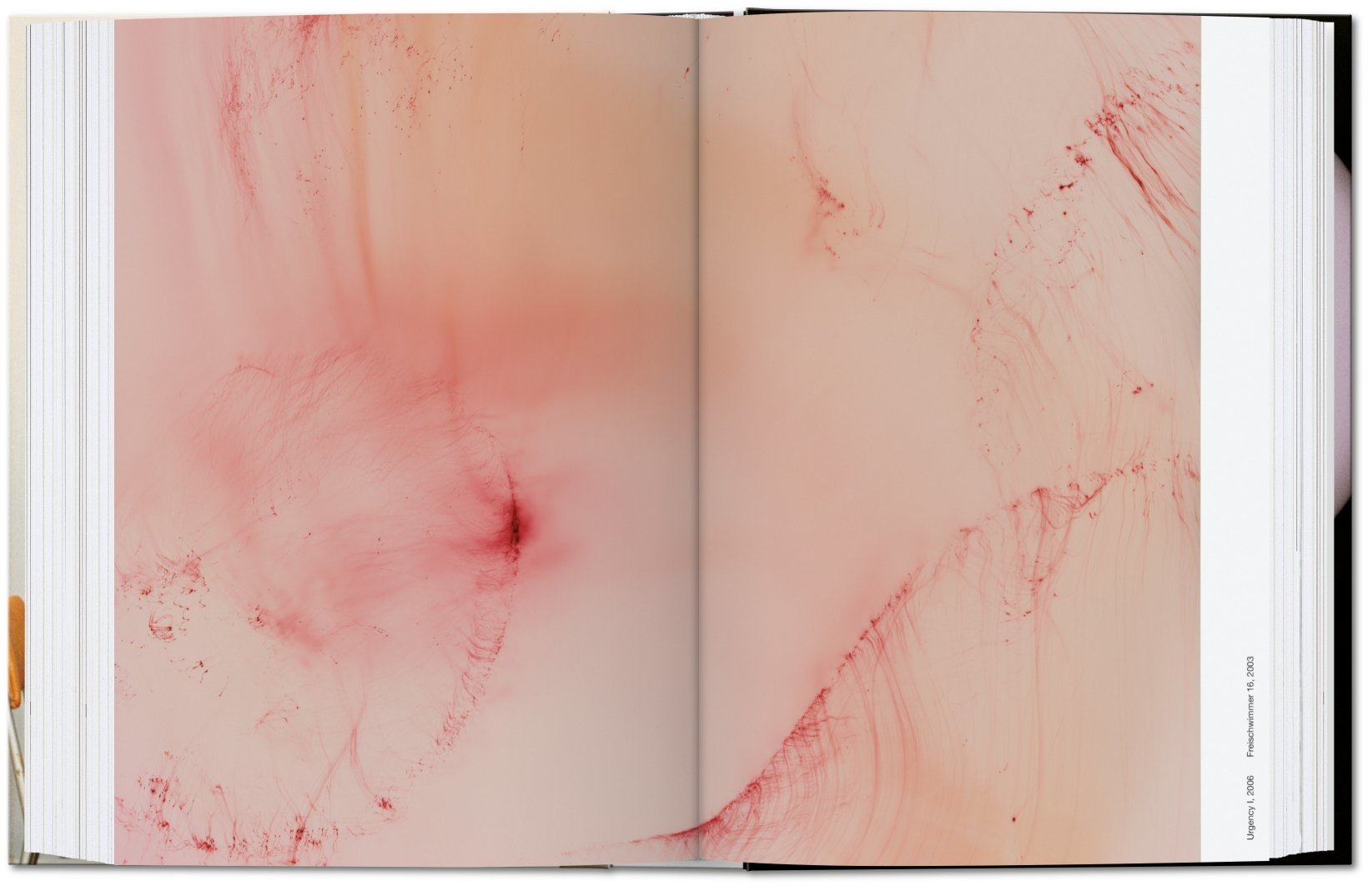 Wolfgang Tillmans four books 40th Anniversary Edition