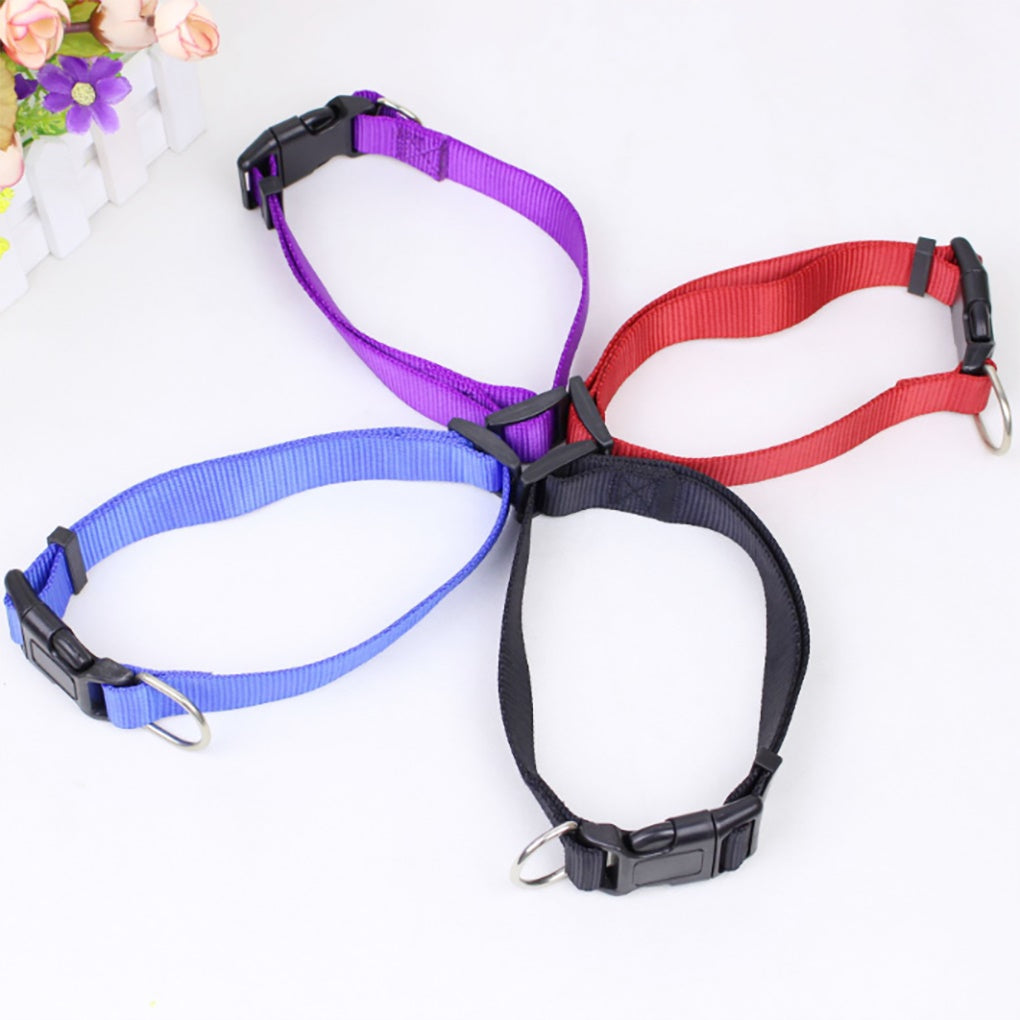 Solid Color Personalized Pet Leash Anti\-Lost/Avoid Car For Small Medium Large Dogs Supplies Pet Products