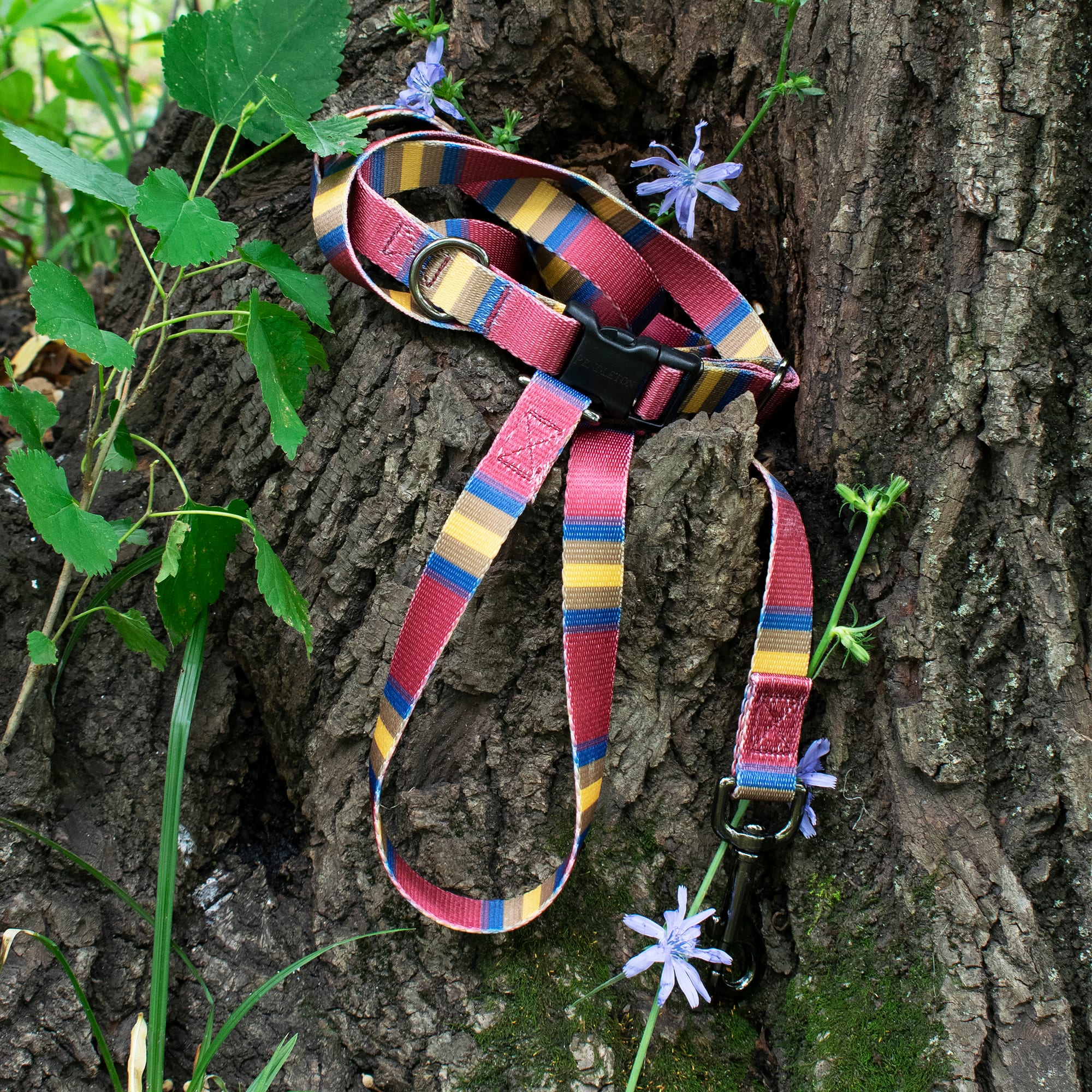 Pendleton Zion National Park Adventure Dog Leash 3/4