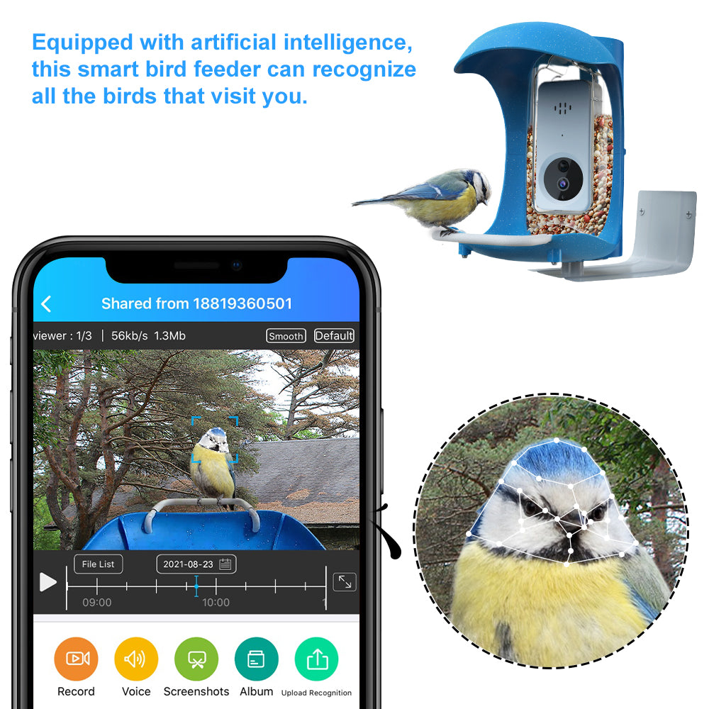 Smart Hopper Bird Chickadees Feeder Video Camera， Blue， Hopper Feeder