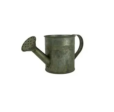 Rustic Finished Iron Watering Can for Plant Engineering Manufacturer Custom Handmade Iron Metal Plant Watering Can