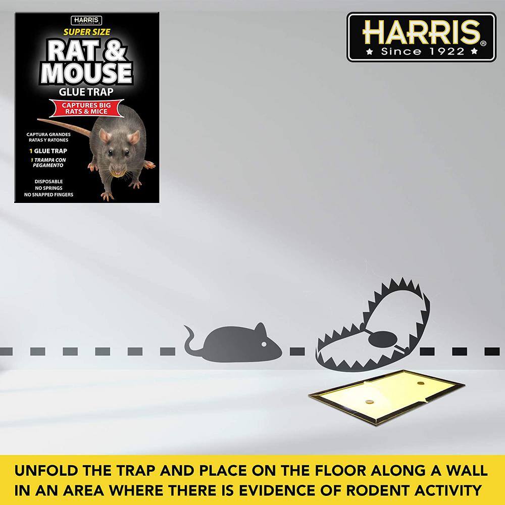 Harris Rat and Mouse Glue Trap Super-Size (20-Pack) 20BLKRAT-2