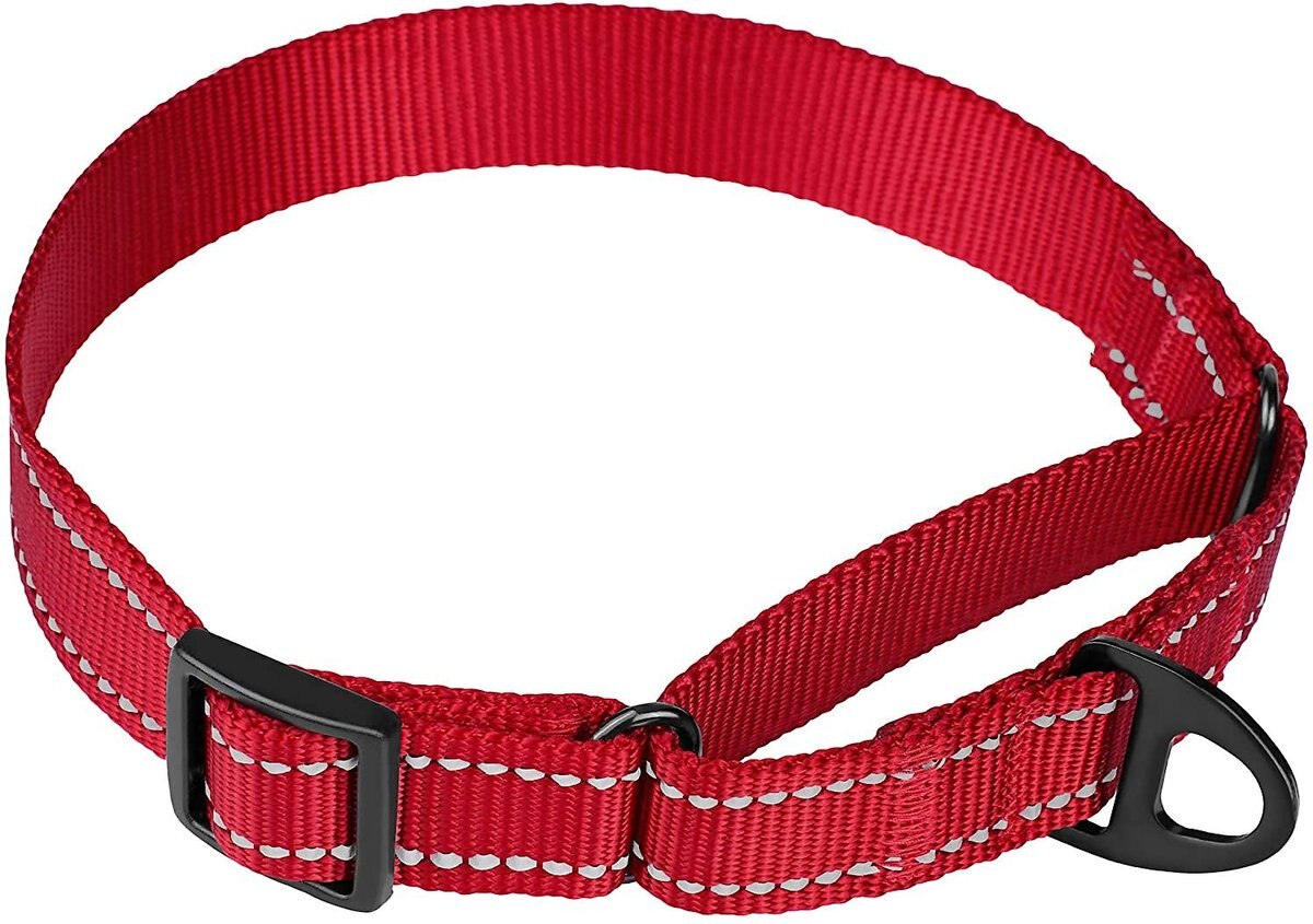 CollarDirect Reflective Martingale Nylon Dog Collar