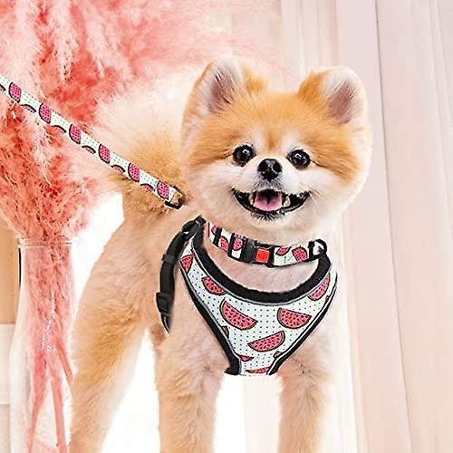 Yoitea Multi-colored Reflective Dog Vest Harness And Leash Collar Set For Puppy Small Animals