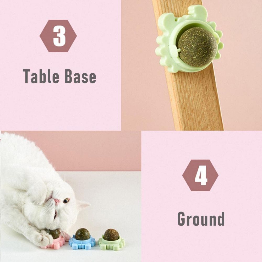 Catnip Squash Edible Cat Toys Cat Lick Ball Teeth Cleaning Catnip Toys for Cats， Natural， Fun and Engaging Play 3 Pack