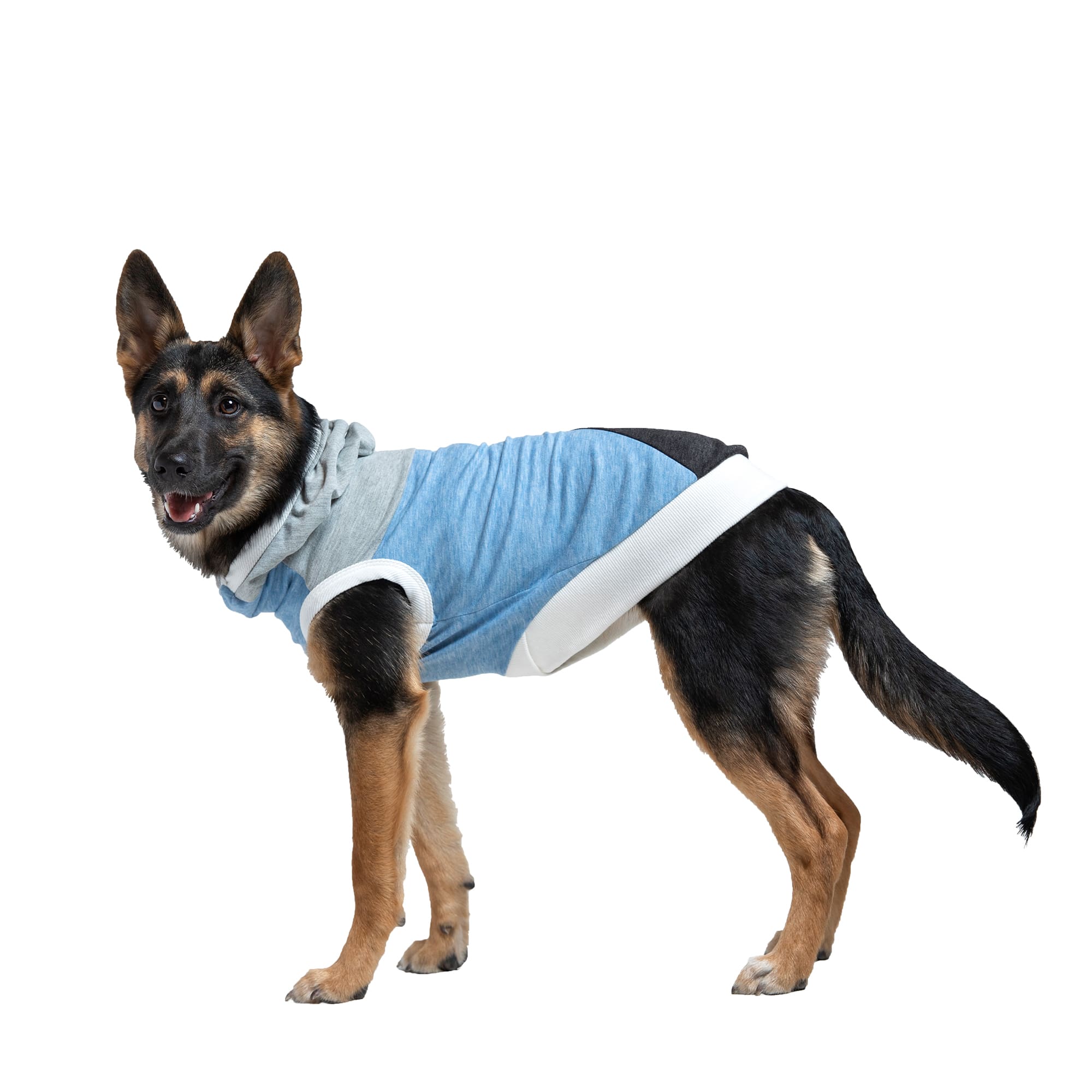 LONG DOG CLOTHING CO. The Skater II Sleeveless Lightweight Hoodie Dog Shirt， X-Small