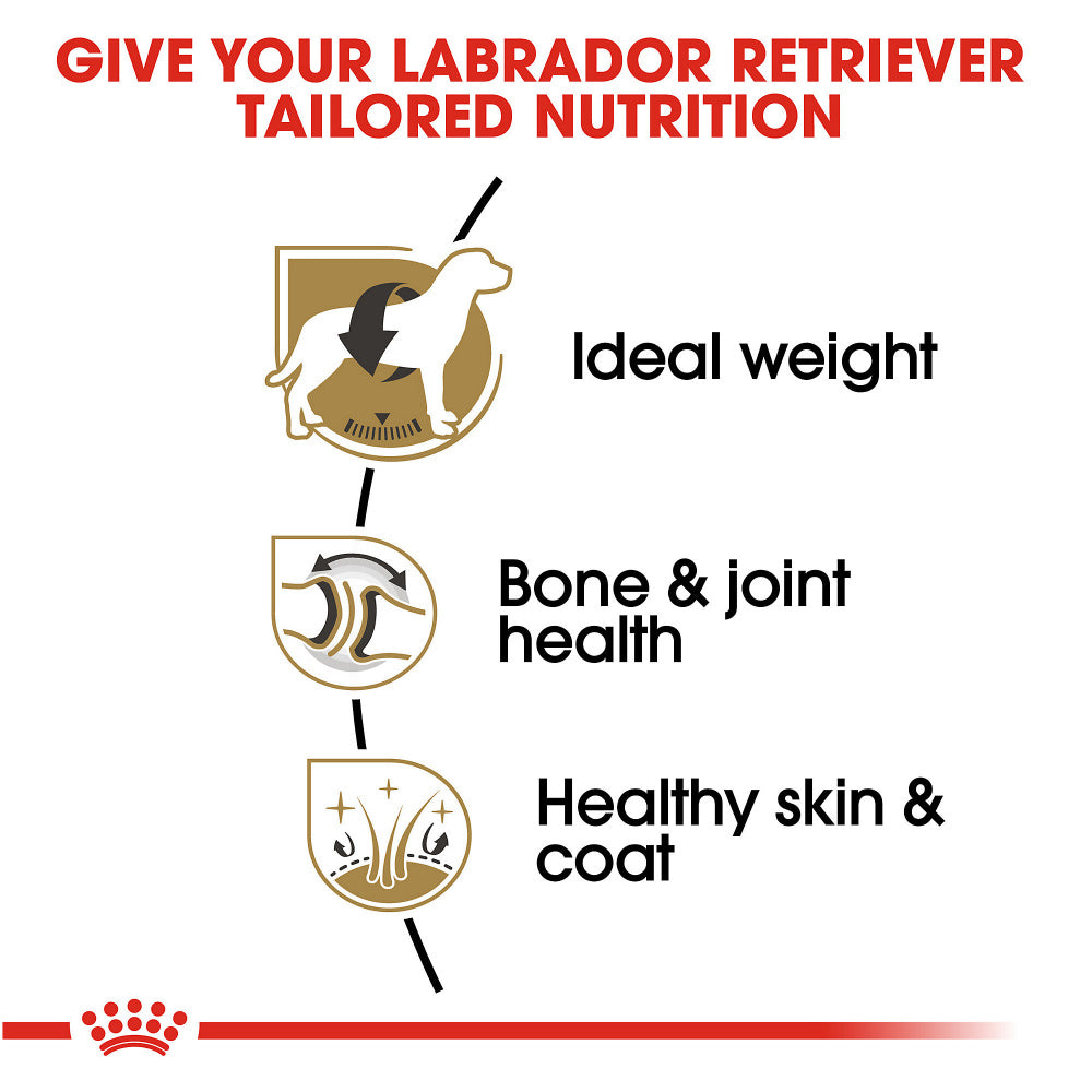 Royal Canin Breed Health Nutrition Labrador Retriever Adult Dry Dog Fo