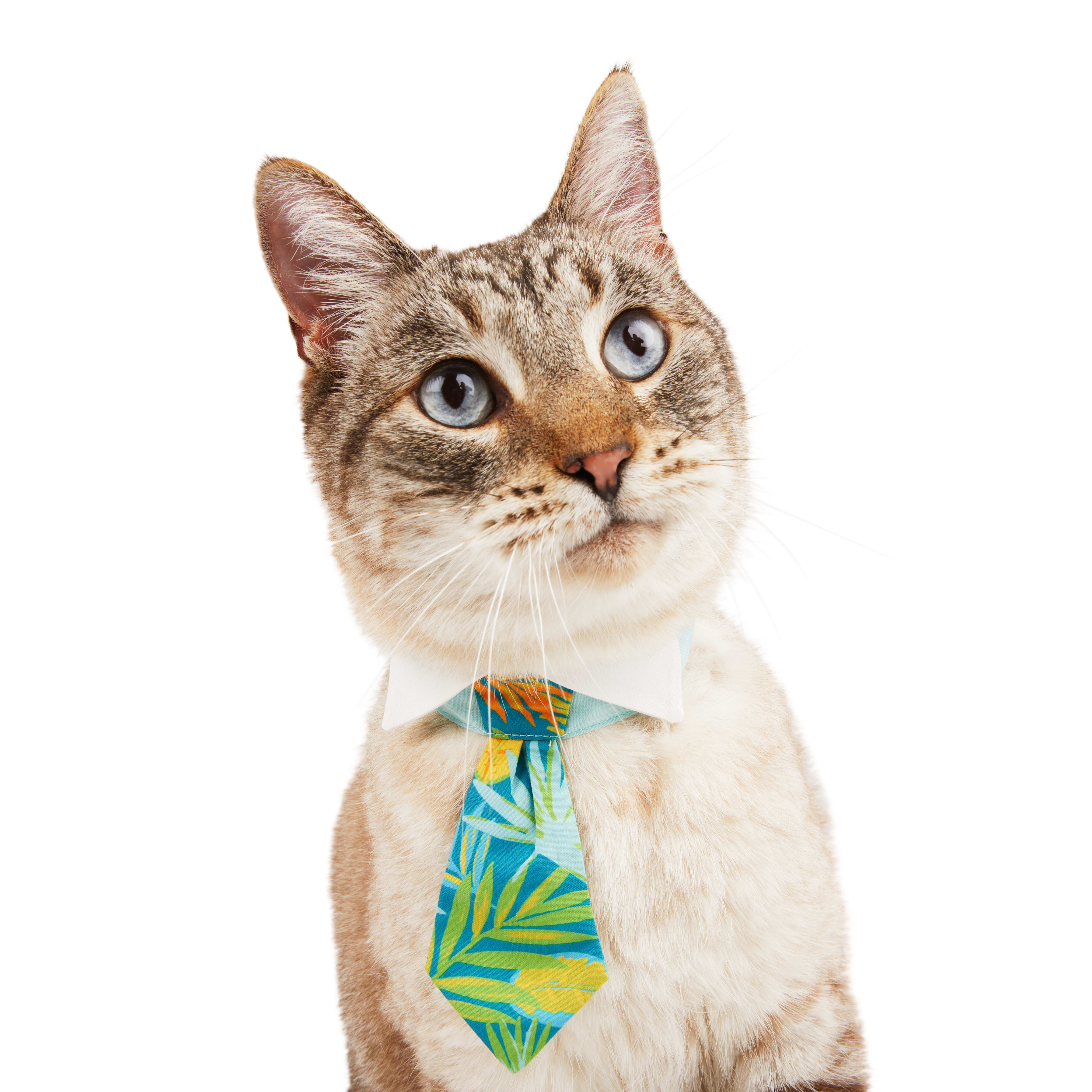 YOULY Cat Tropic Palm Tie， Large/X-Large