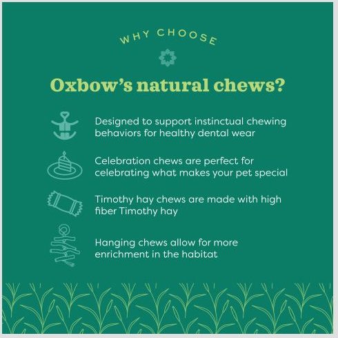 Oxbow Enriched Life Natural Dangly Party Pack Small Pet Toy