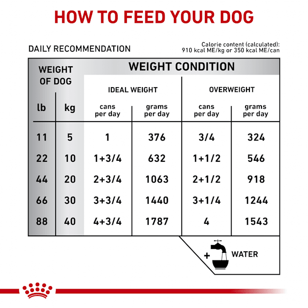 Royal Canin Veterinary Diet Gastrointestinal Low Fat Loaf Canned Wet Dog Food， 13.5 oz.， Case of 24