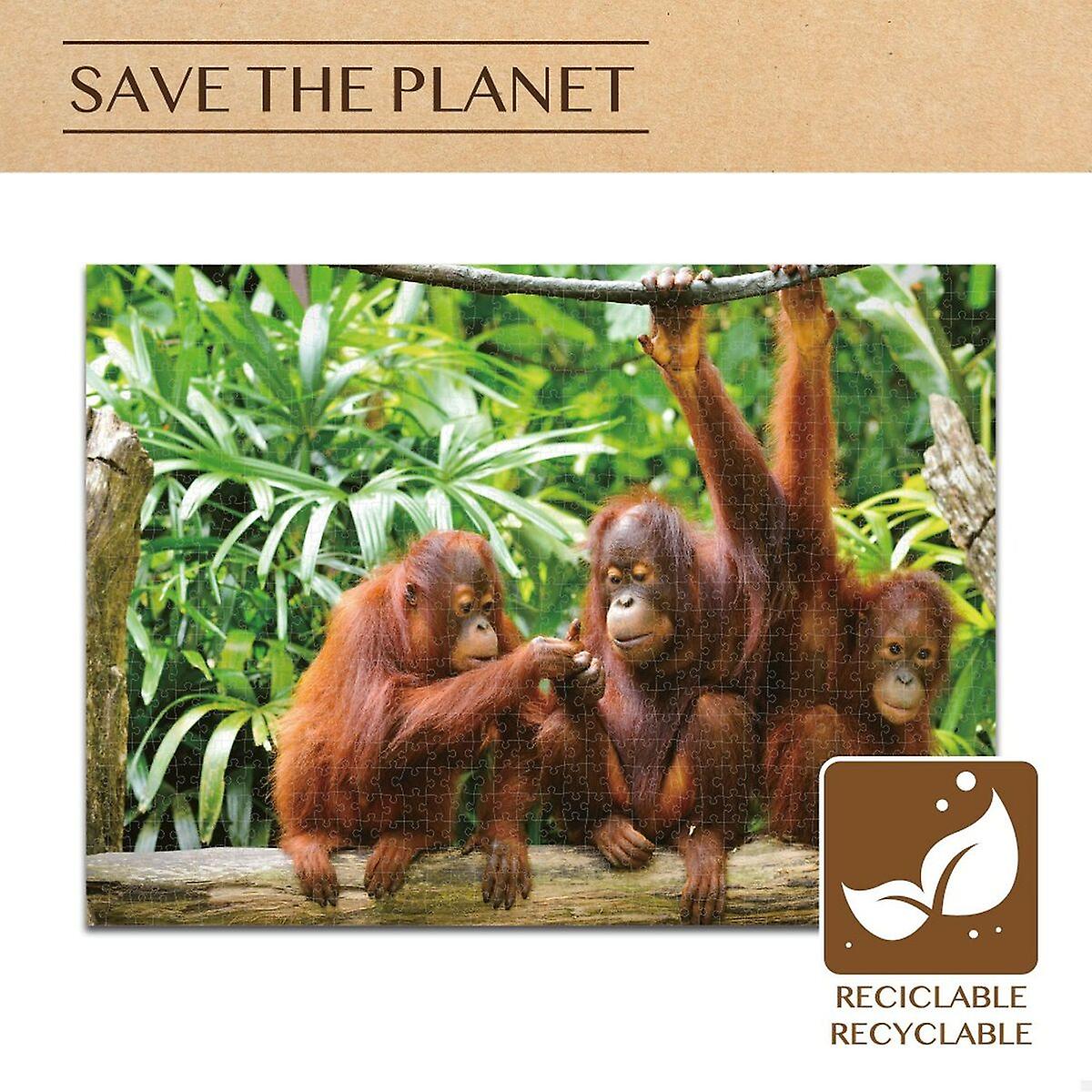 Puzzle Colorbaby Orangutan 6 Units 68 x 50 x 0，1 cm