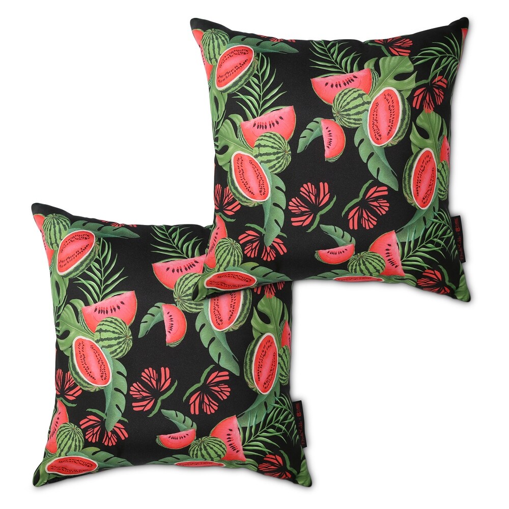 Frida Kahlo + Classic Accessories Accent Pillows  2 Pack  18 Inch