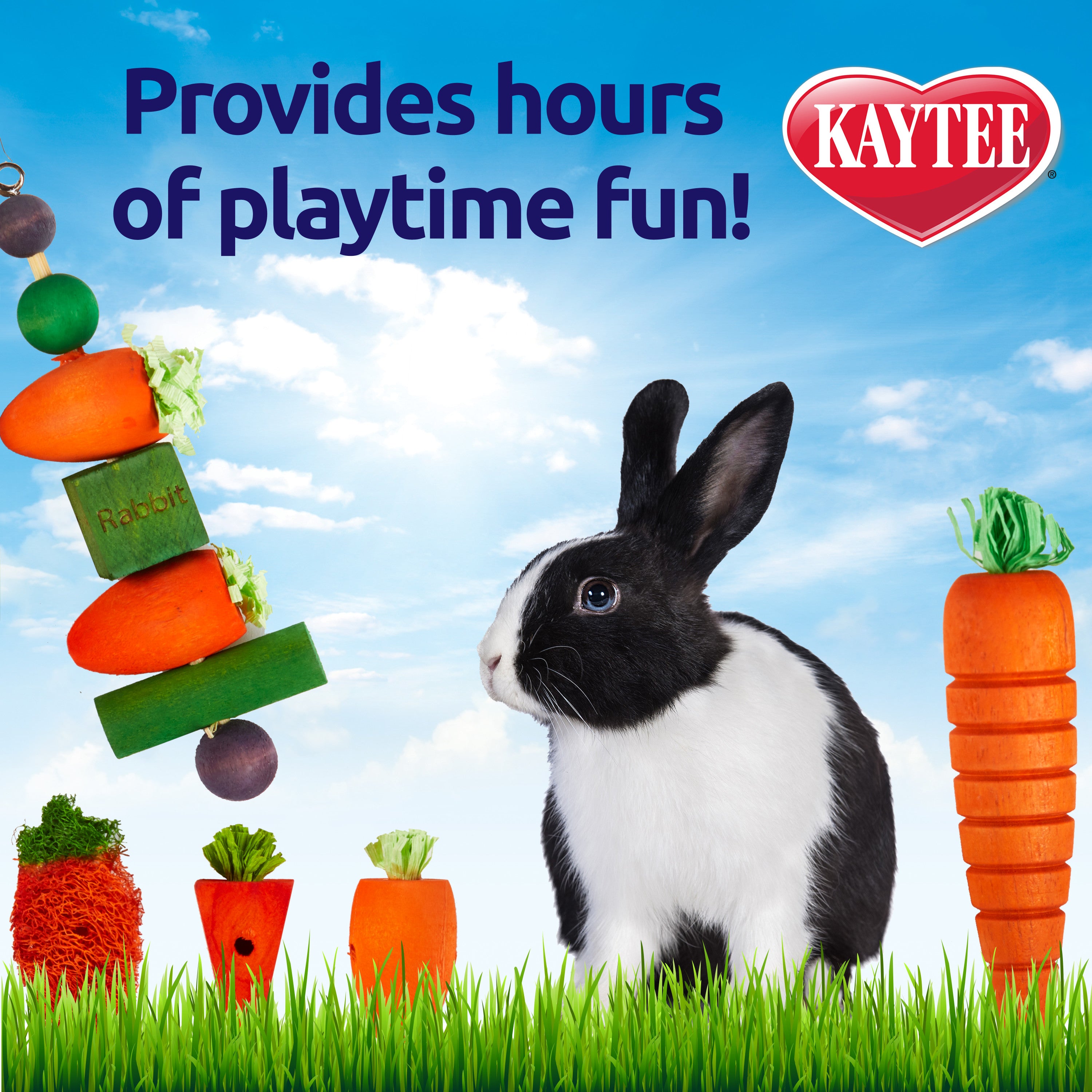 Kaytee Chew and Treat Toy Box Rabbit