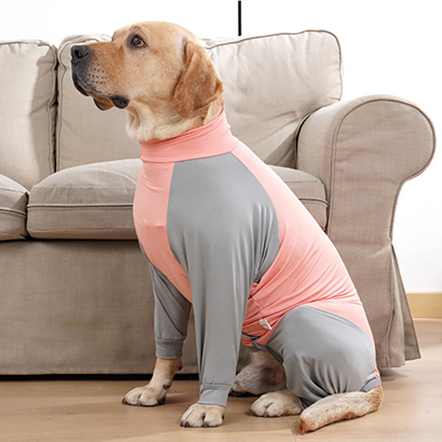 BT Bear Dog Recovery Suit， Dog Onesie Shedding Suit， Surgery Recovery Suit Full Coverage for Dog， After Surgery Wear E Collar Alternative， Anxiety Calming Shirt for Medium Large Dog Pink-Gray XS