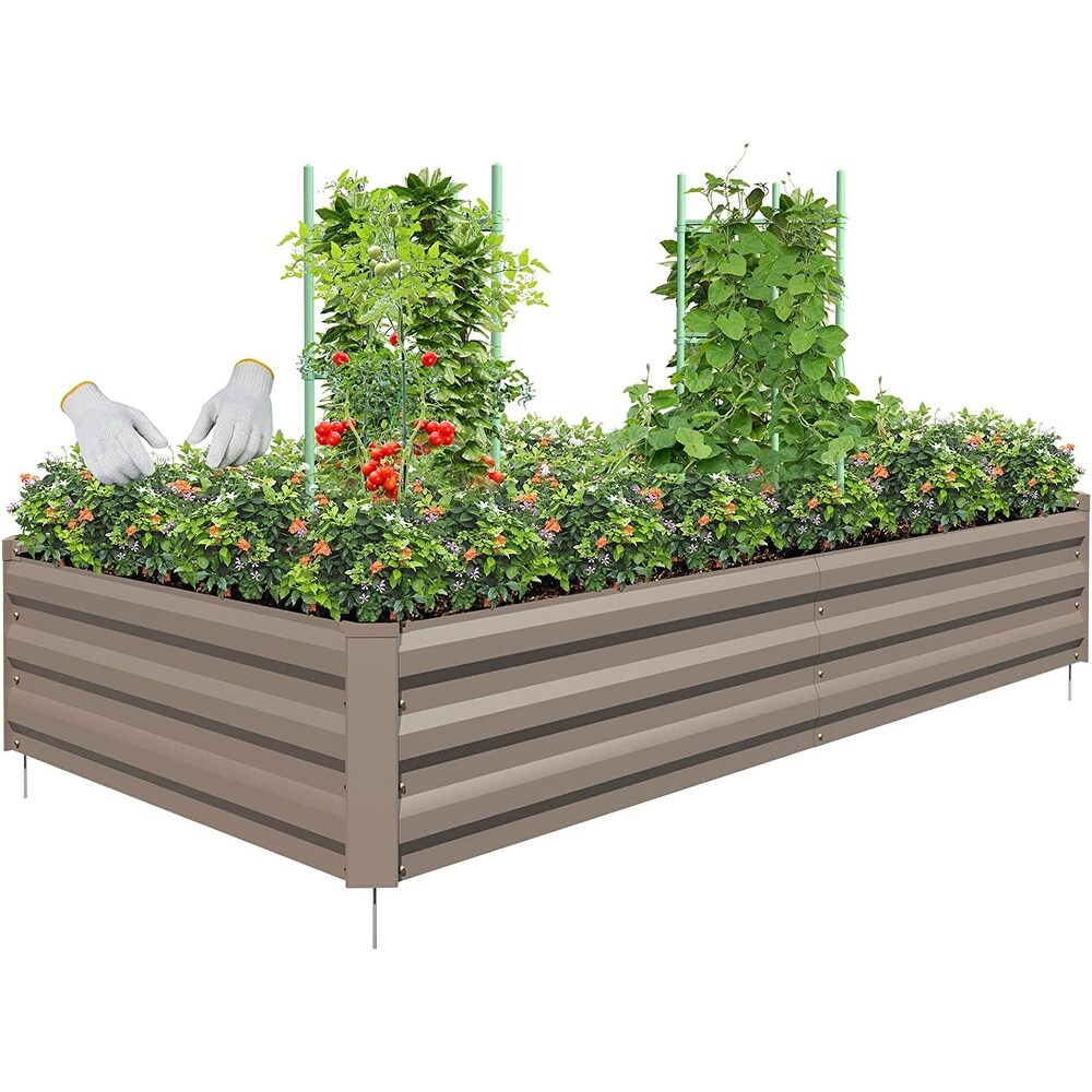 raised garden beds for vegetables flowers herbs