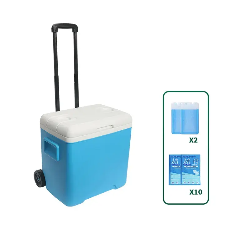 Custom High Performance Medical Organ Transport Portable Cooler Ice Chest Thermal Bag Food Heavy Duty Cooler Box