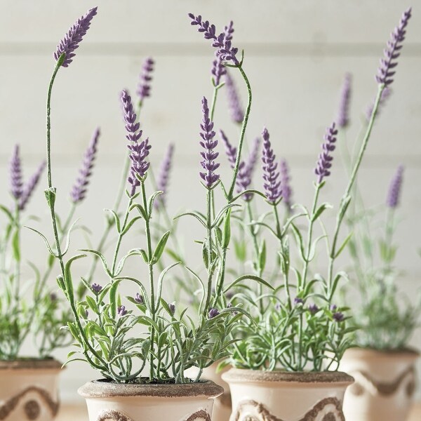 French Lavender DropIn 13，Set Of 6