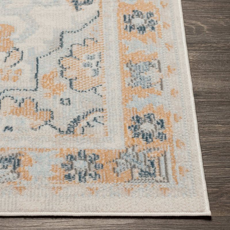 Crystal Lake Traditional Area Rug