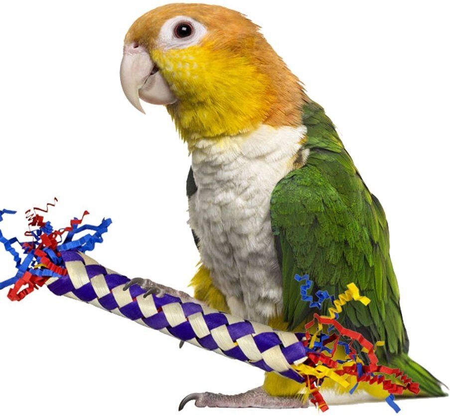 Super Bird Creations Firecracker Sticks Bird Toy， 5 count