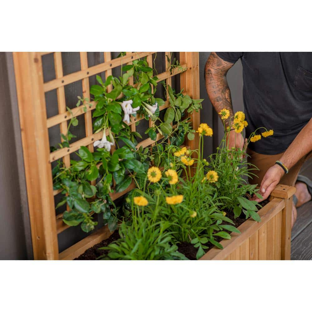 VITA 38 in. x 19 in. x 47 in. Rosewood， Golden Brown， Cedar Wood， Planter with Trellis VT17735