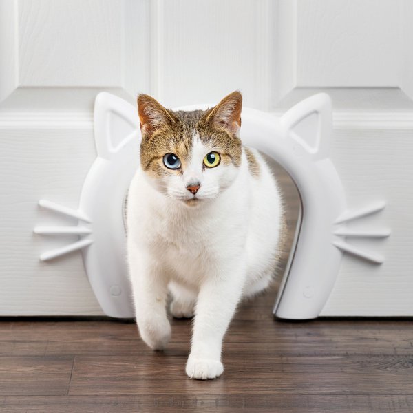 PetSafe Durable Interior Cat Door， Up to 20-lbs， ​​​​​​​White