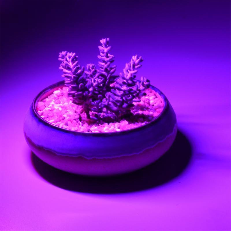 Usb Led Plant Growth Lamp 5v 2.5w Full Spectrum Grow Light Aluminum Fitolampy For Hydroponics System Greenhouse Green Plant