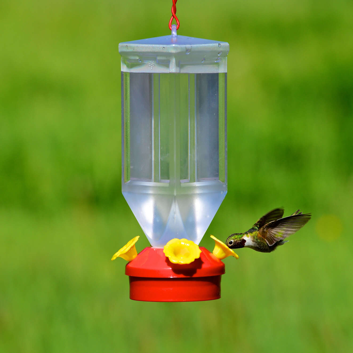 Perky-Pet Hummingbird 18 oz Plastic Lantern Nectar Feeder 4 ports