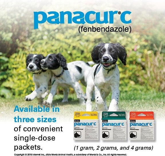 Panacur C Canine Dewormer， 1-g， 3 count