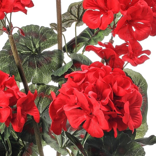 Potted Geranium In Wood Box 16.5