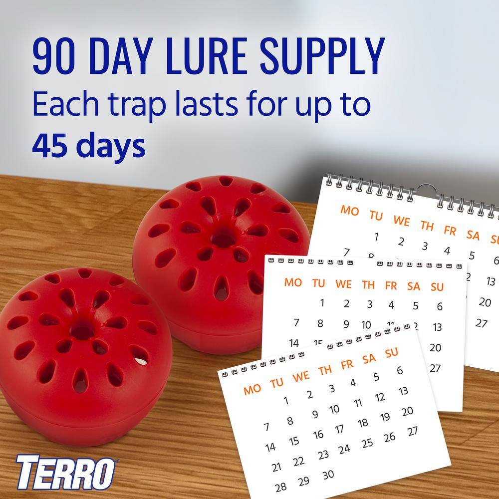 TERRO Ready-to-Use Indoor Fruit Fly Traps with Bait (2-Count) T2502B