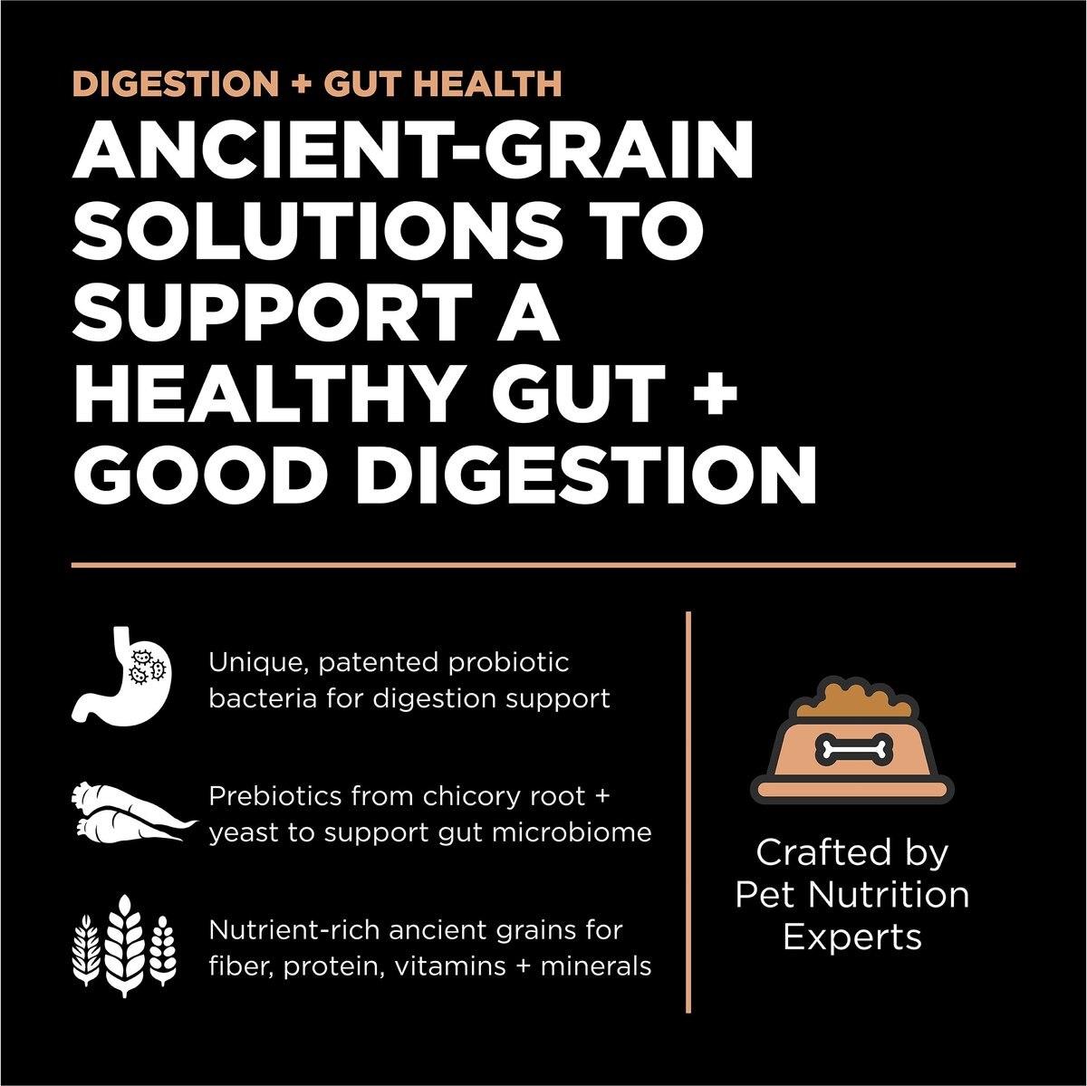 Go! Solutions Digestion + Gut Health Ancient Grains Salmon Recipe Dry Dog Food