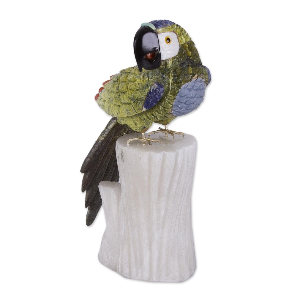 Novica Handmade Amazonian Parrot Multi Gemstone Statuette